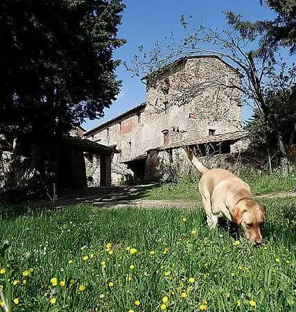 公寓 Casa Fallocchio 瓦尔的圣卡西亚诺